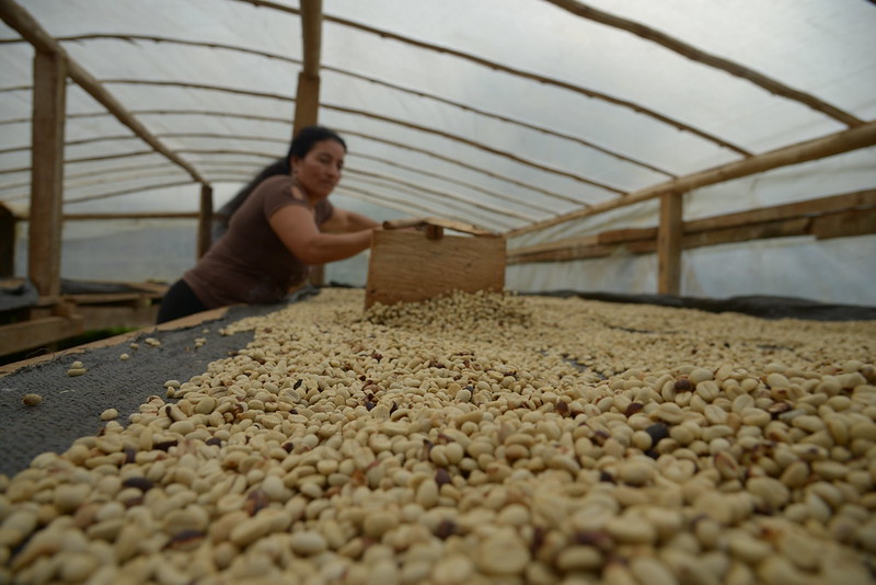 Tierra Colombia Transformación Tecnológica